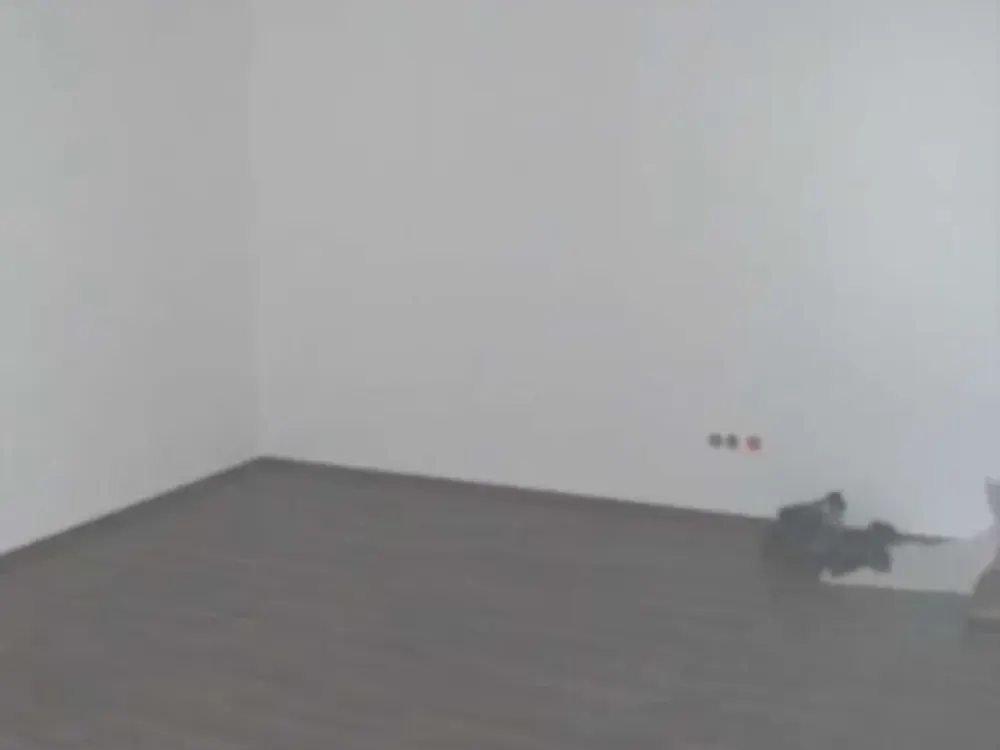 HAFEN: cozy 4-room apartment in prime location suitable for 3-person shared flat
