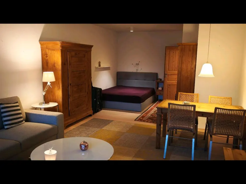 High-quality Furnished Studio Apartment with Lake View in Lindau