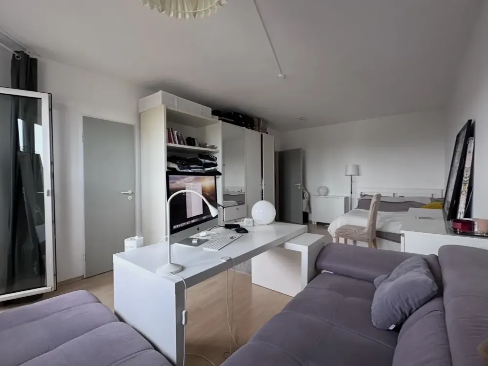 Bright, Furnished 1-Room Apartment with Balcony and Beautiful View over Frankfurt