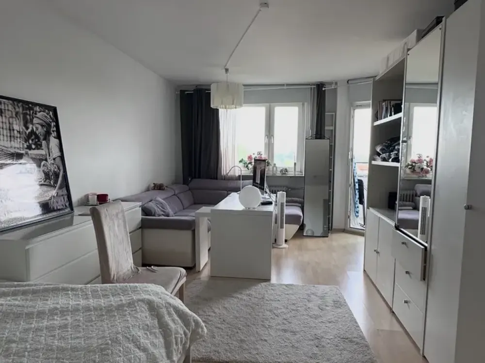 Bright, Furnished 1-Room Apartment with Balcony and Beautiful View over Frankfurt