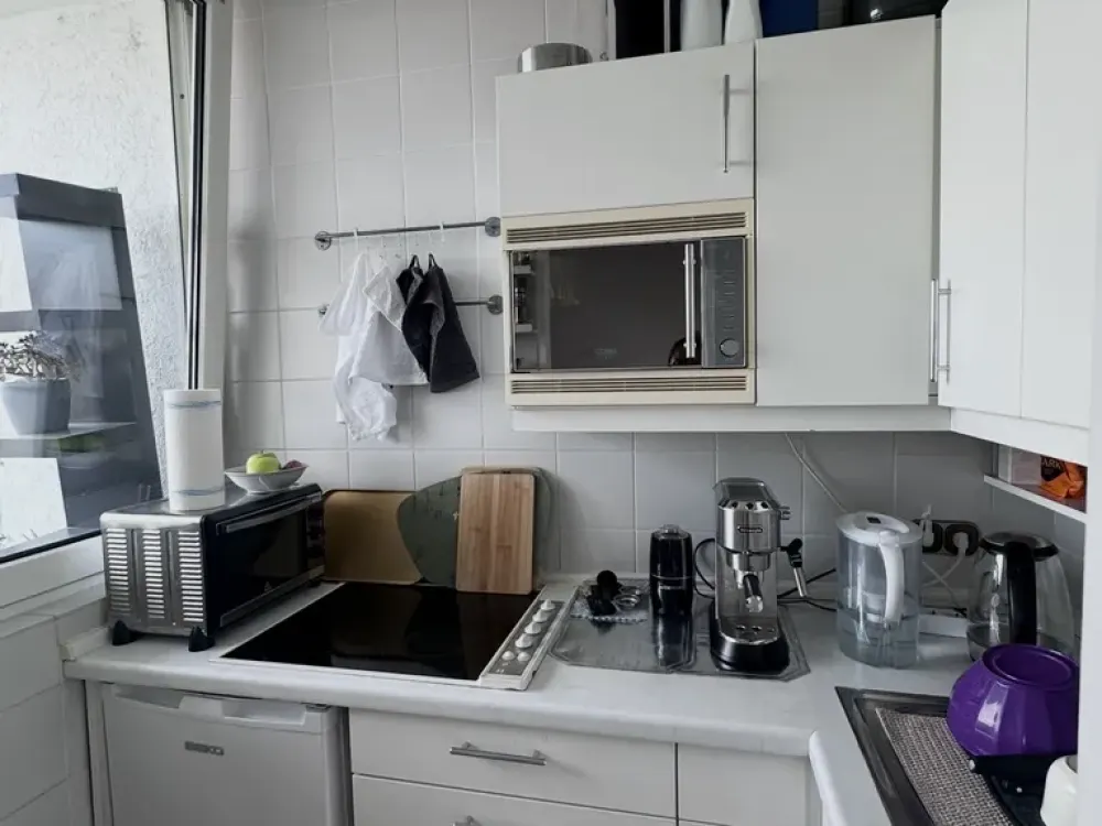 Bright, Furnished 1-Room Apartment with Balcony and Beautiful View over Frankfurt