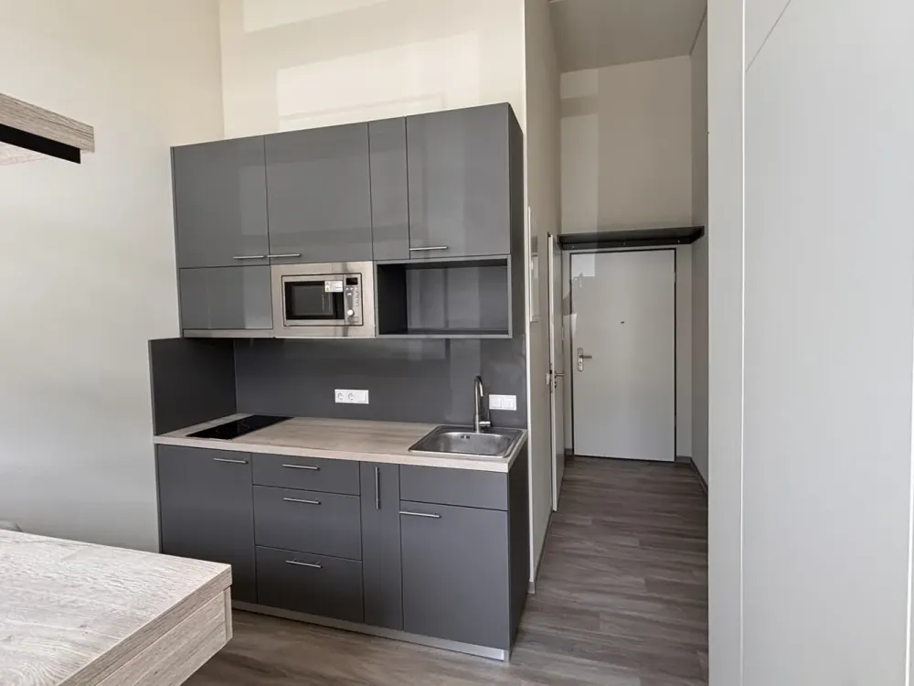 Fully Furnished 1-Room Apartment in Münster for Rent | Wentzel Dr.