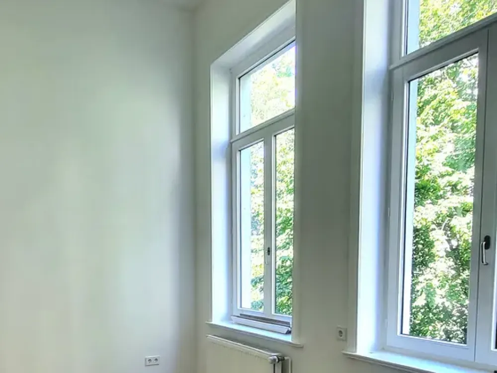 Renovated Art Nouveau Apartment in Prime Location in Oststadt