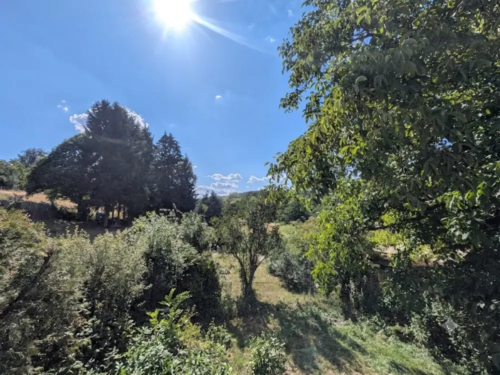 Exclusive 1-Room Apartment with Terrace and Wonderful Green View, First Occupancy After Renovation