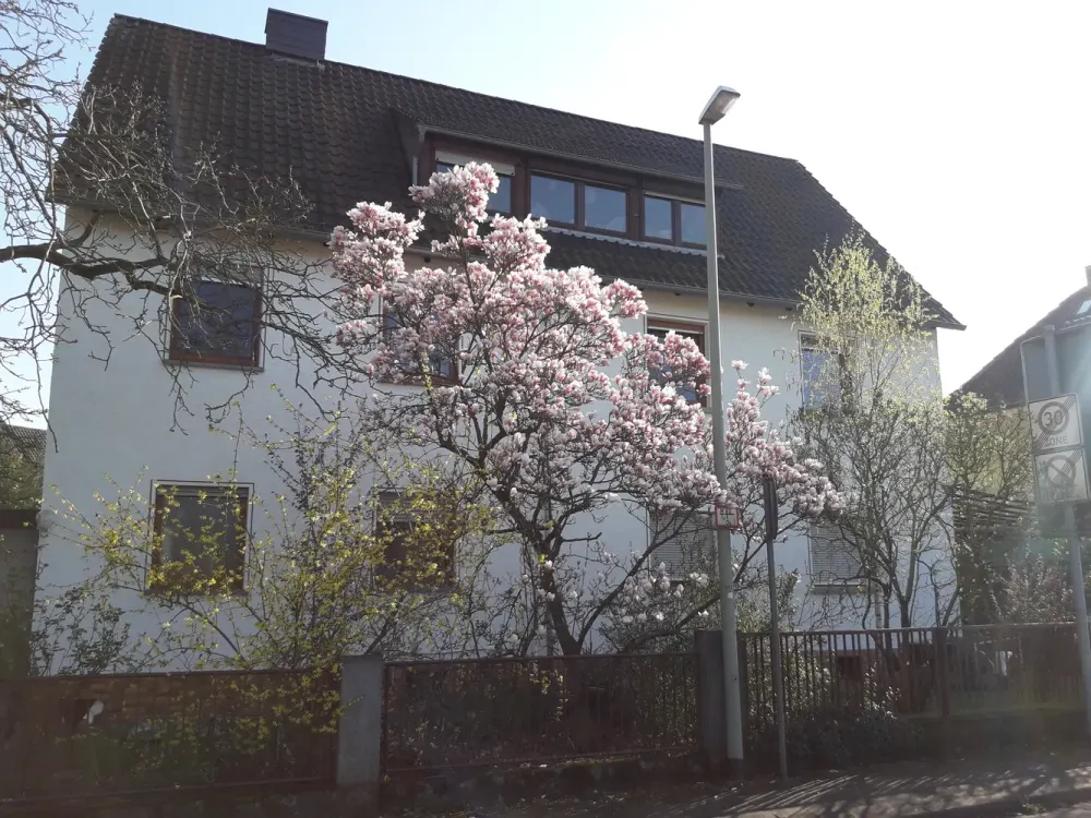 3.5-Room Apartment in Kelsterbach