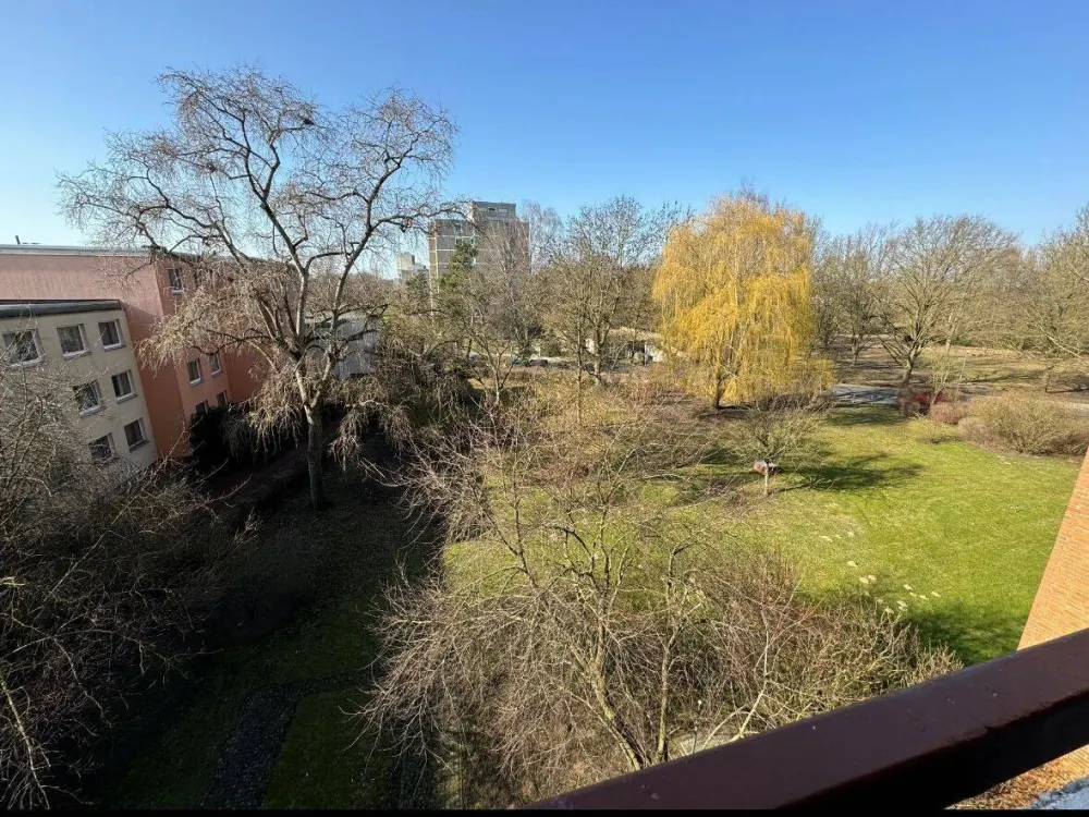 Freshly Renovated 1-Room Apartment in Prime Location