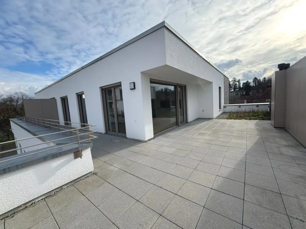 Beautiful Penthouse Apartment with Spacious Roof Terrace