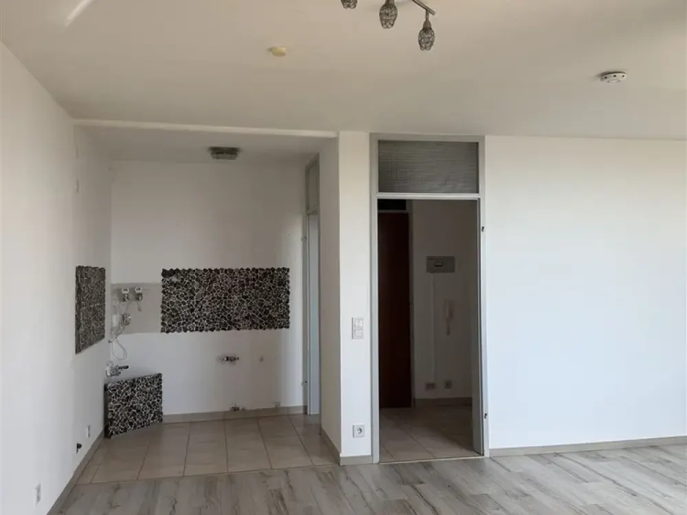Beautiful 1-Room Apartment with Lake View for Rent!