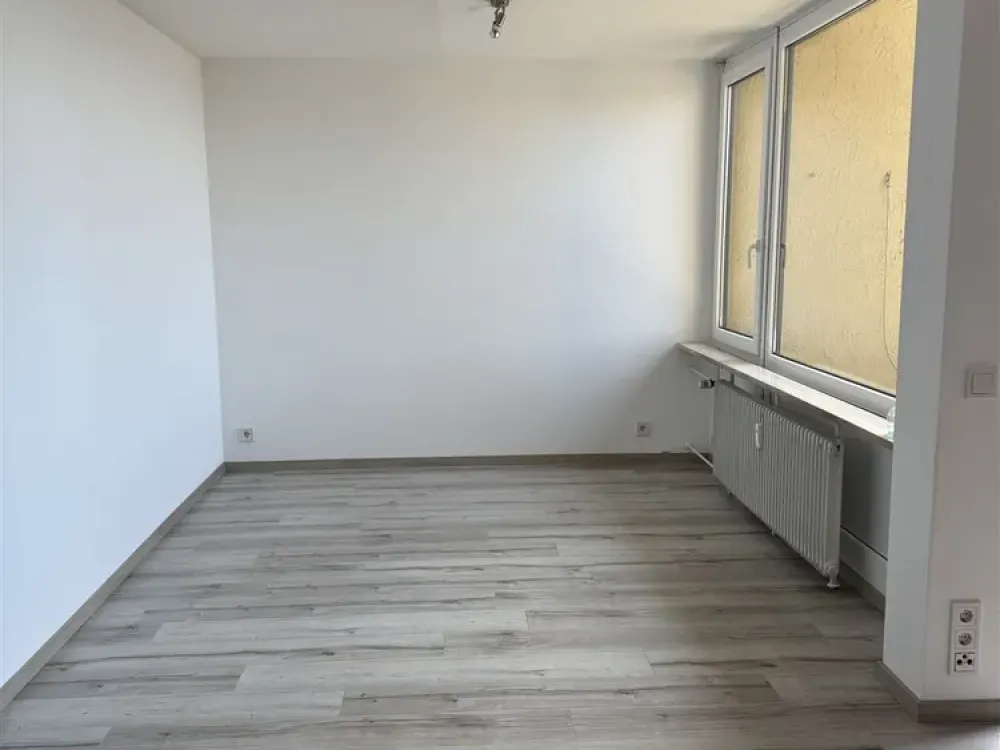 Beautiful 1-Room Apartment with Lake View for Rent!