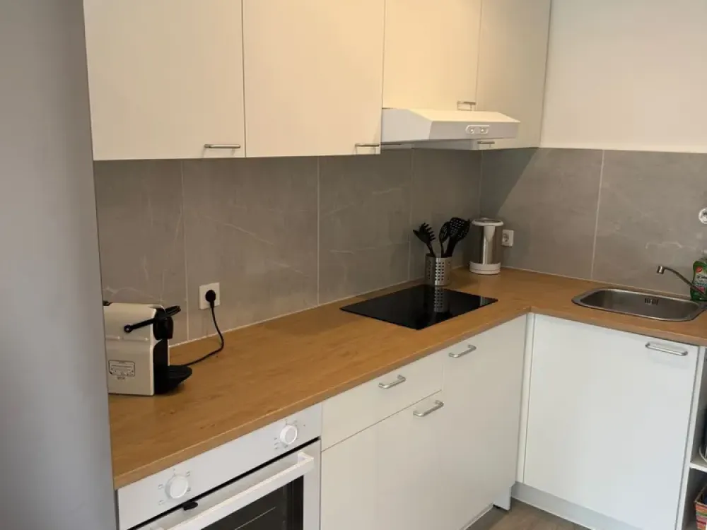 New, fully furnished, exclusive 1-room apartment with fitted kitchen and balcony in Linkenheim-Hochstetten