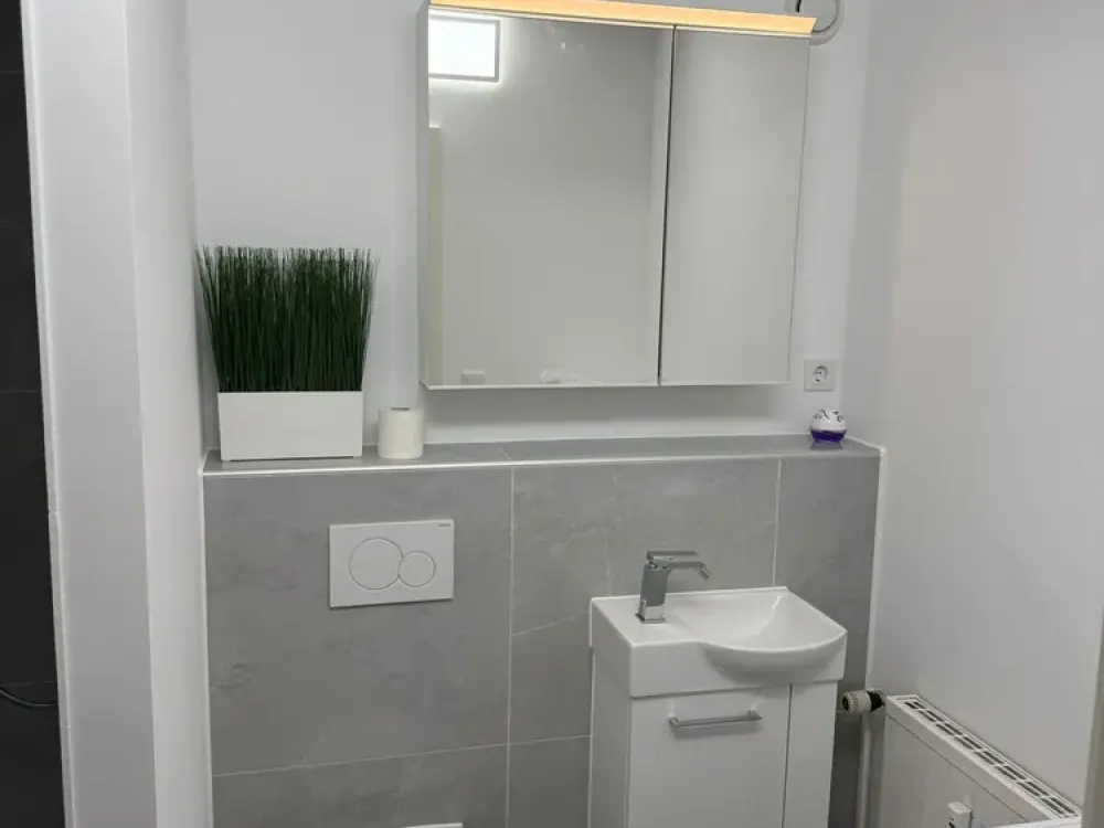 New, fully furnished, exclusive 1-room apartment with fitted kitchen and balcony in Linkenheim-Hochstetten