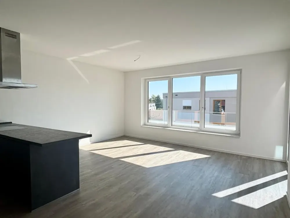 Above the Roofs of Friedrichshafen! Exclusive 3-Room Penthouse
