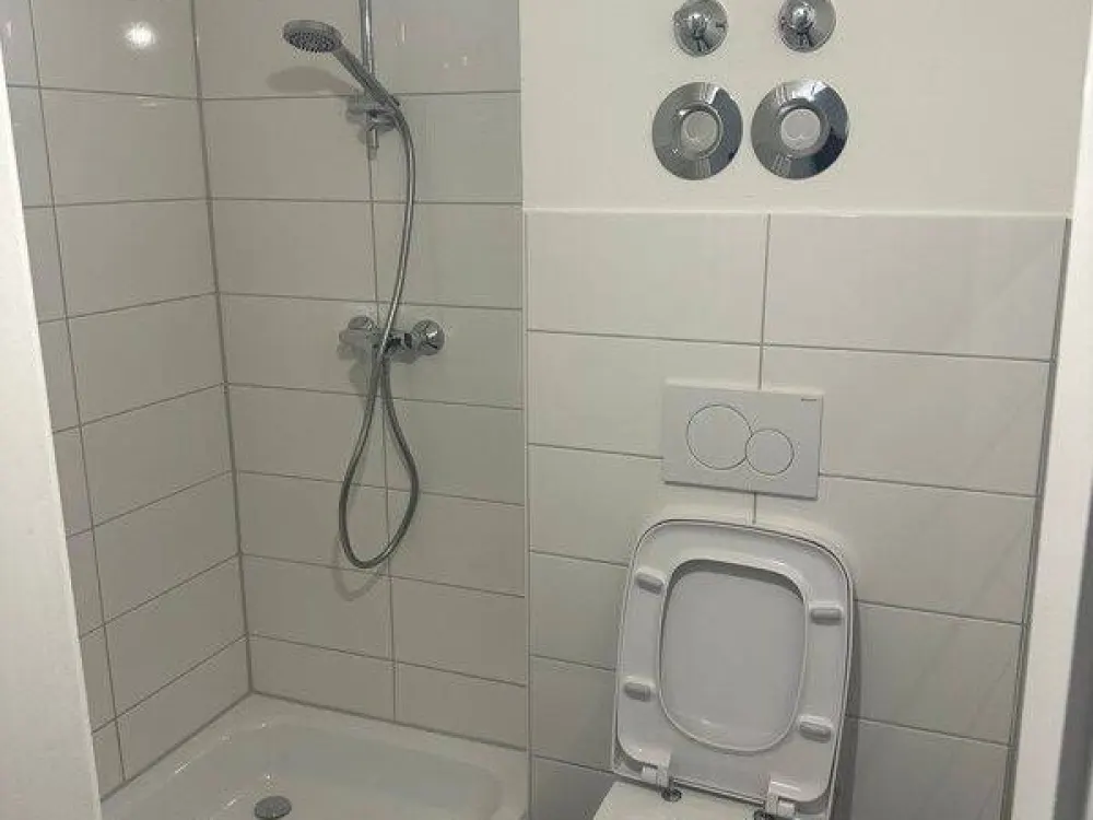 Renovated 2.5-Room Apartment with Balcony