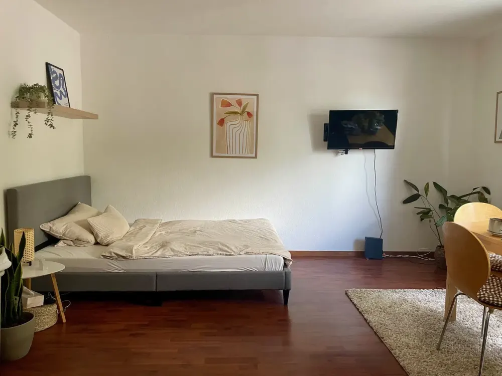 Cozy 1-Room Apartment with Built-in Kitchen