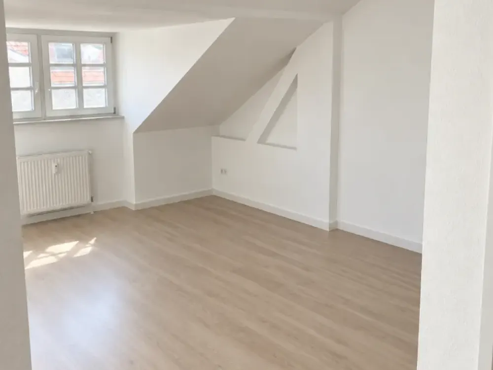 Freshly Renovated 1-Room Attic Apartment with Built-In Kitchen