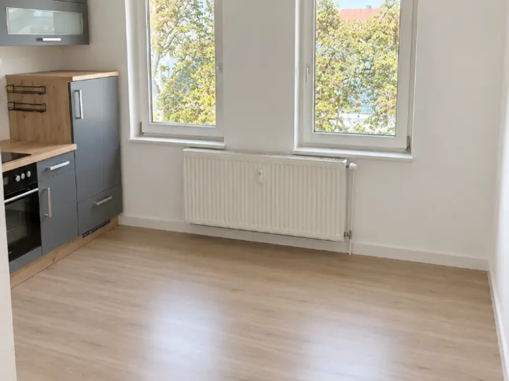 Freshly Renovated 1-Room Attic Apartment with Built-In Kitchen