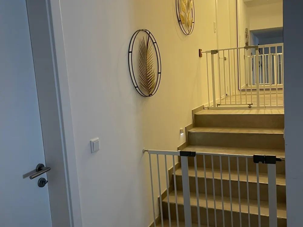 Large Apartments in Habichtswald Dörnberg