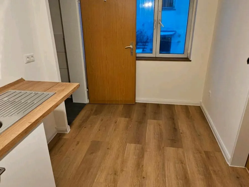 Renovated 1-Room Apartment