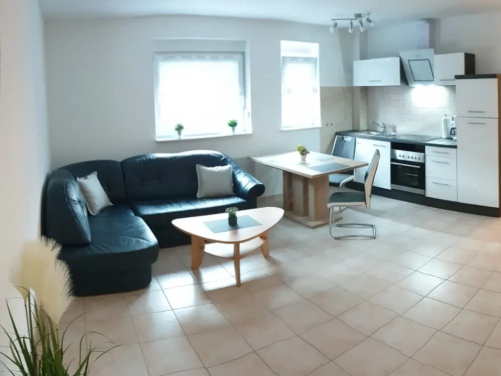 Bright Newly Furnished Basement Apartment with Daylight Bathroom