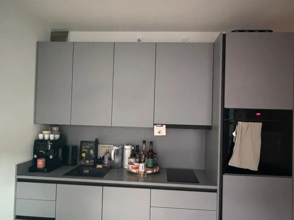 1.5 Room Apartment Altona
