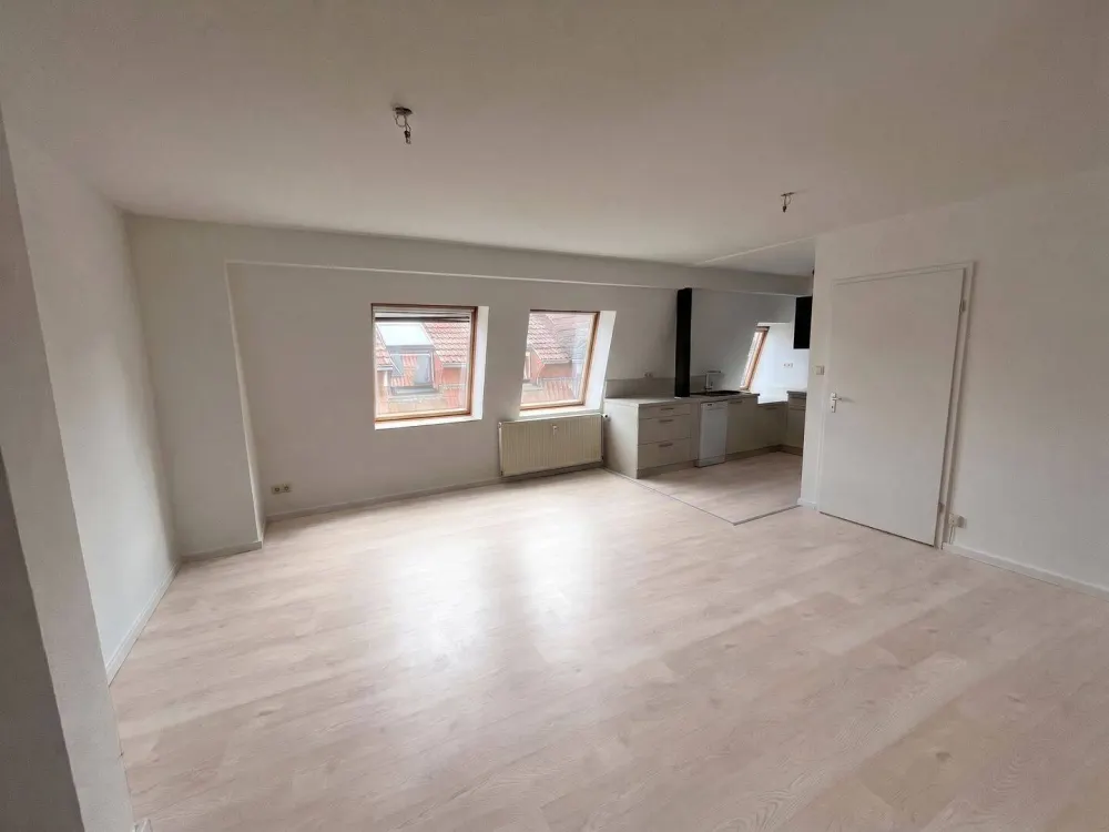 Renovierte 3-Zimmer-Wohnung in zentraler Altstadtlage Erfurt