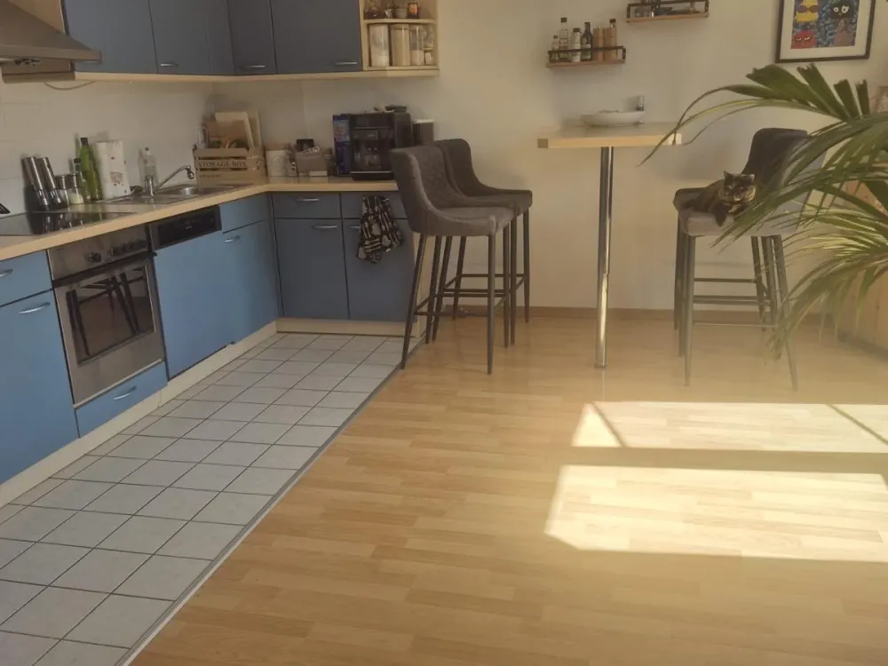 2-room apartment with gallery and balcony