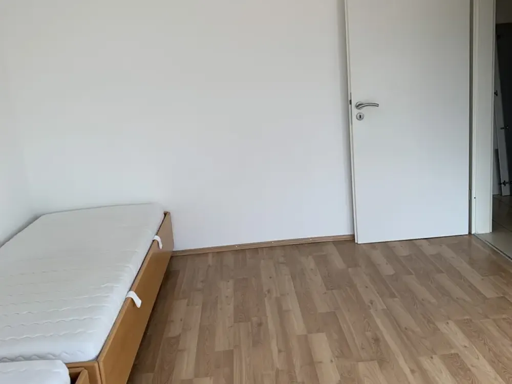 Exclusive 3-Room Ground Floor Apartment in Frankfurt am Main