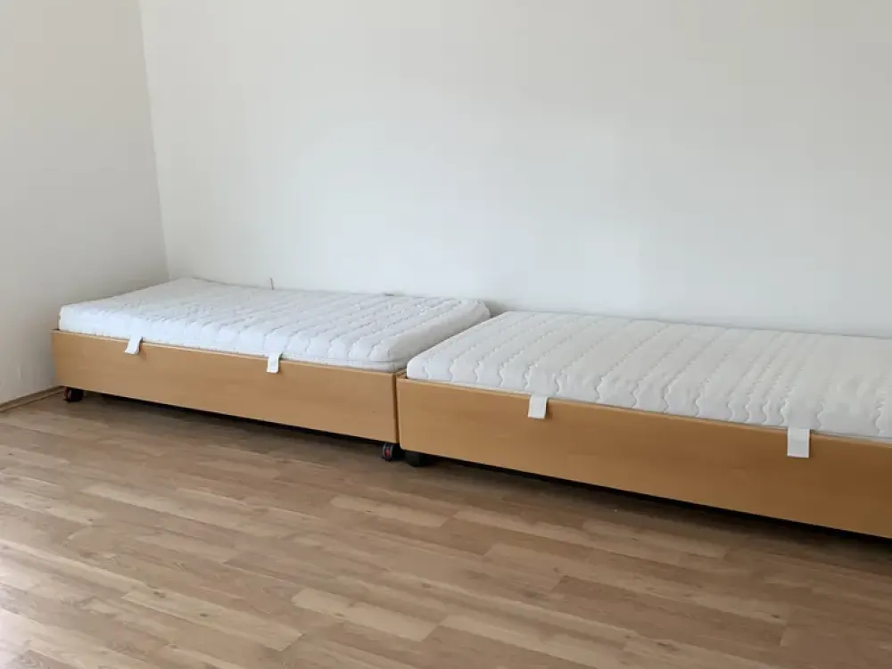 Exclusive 3-Room Ground Floor Apartment in Frankfurt am Main