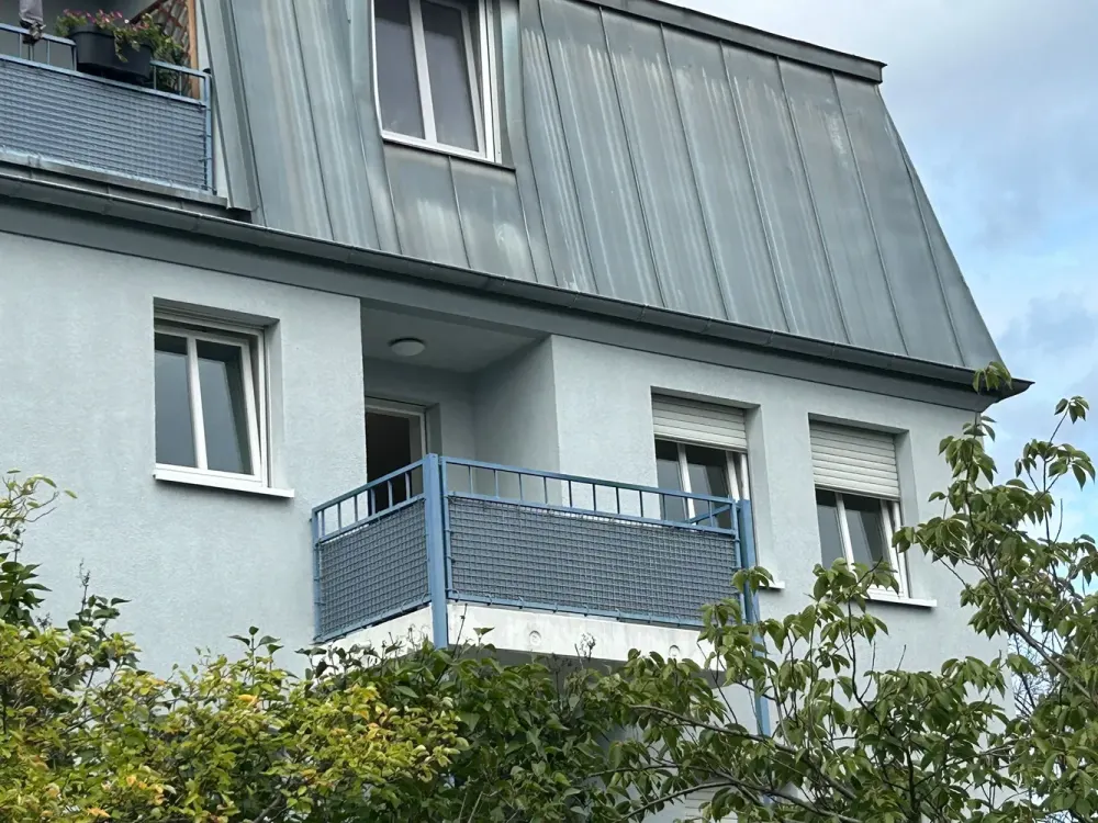 Helle, gemütliche Wohnung in beliebter Lage Tolkewitz - 2-Zimmer-Wohnung