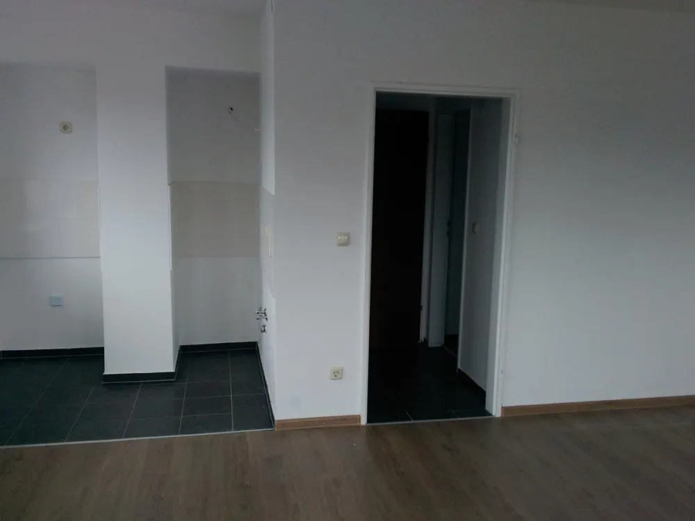 1*Room Apartment (Show Apartments)