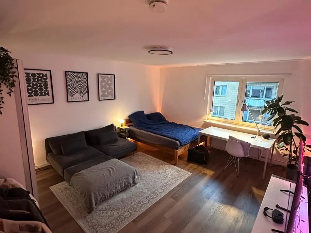 Shared Flat Room for Sublease | Jan. & Feb.