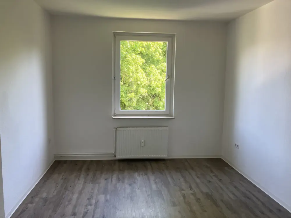 Beautiful 2-Room Apartment Seeks Tenant