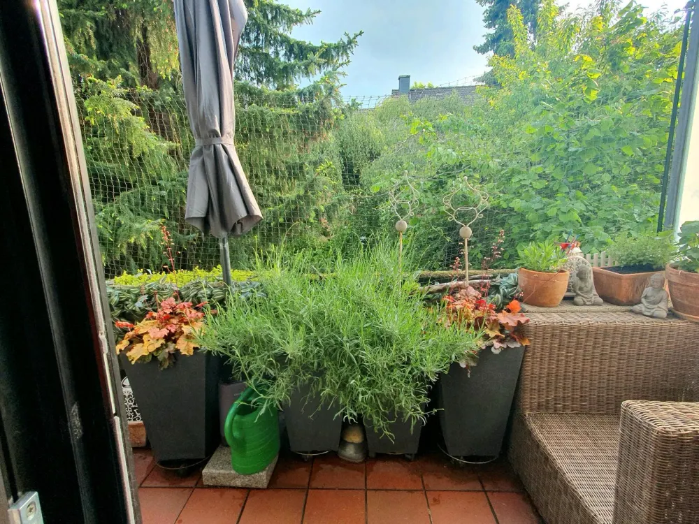 2 Room Rental Apartment from 01.10.26