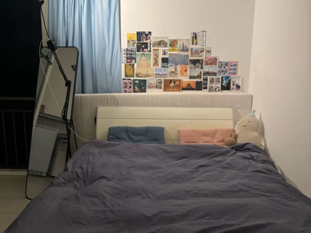 Renovated, furnished one-room apartment