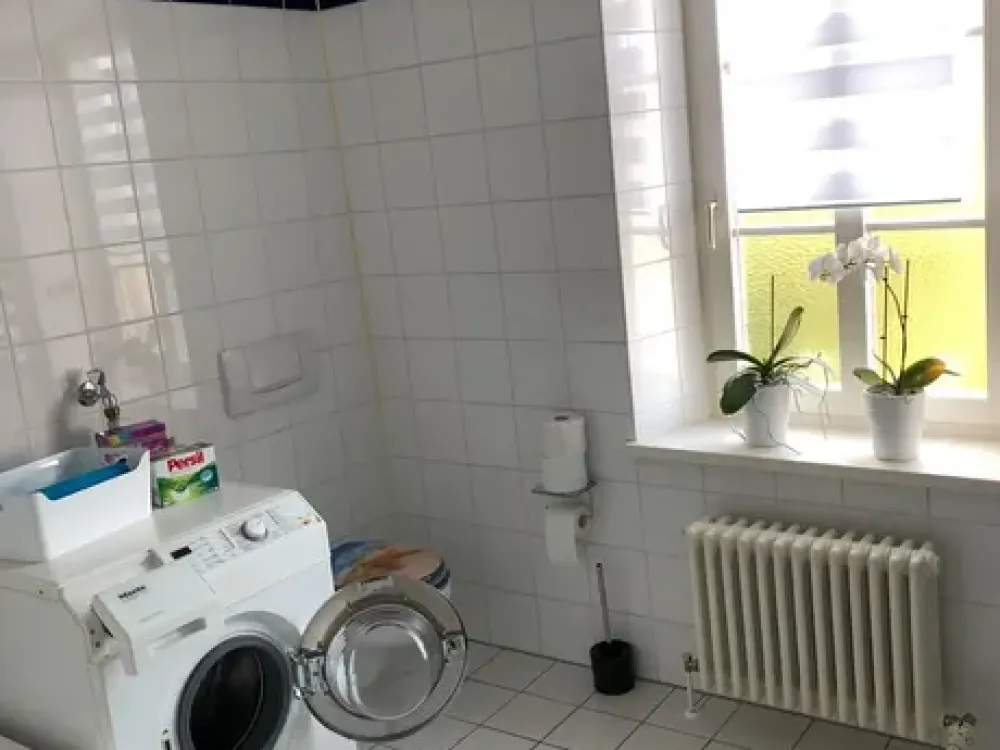 Charming Attic Apartment with 2 Rooms in Göttelborn