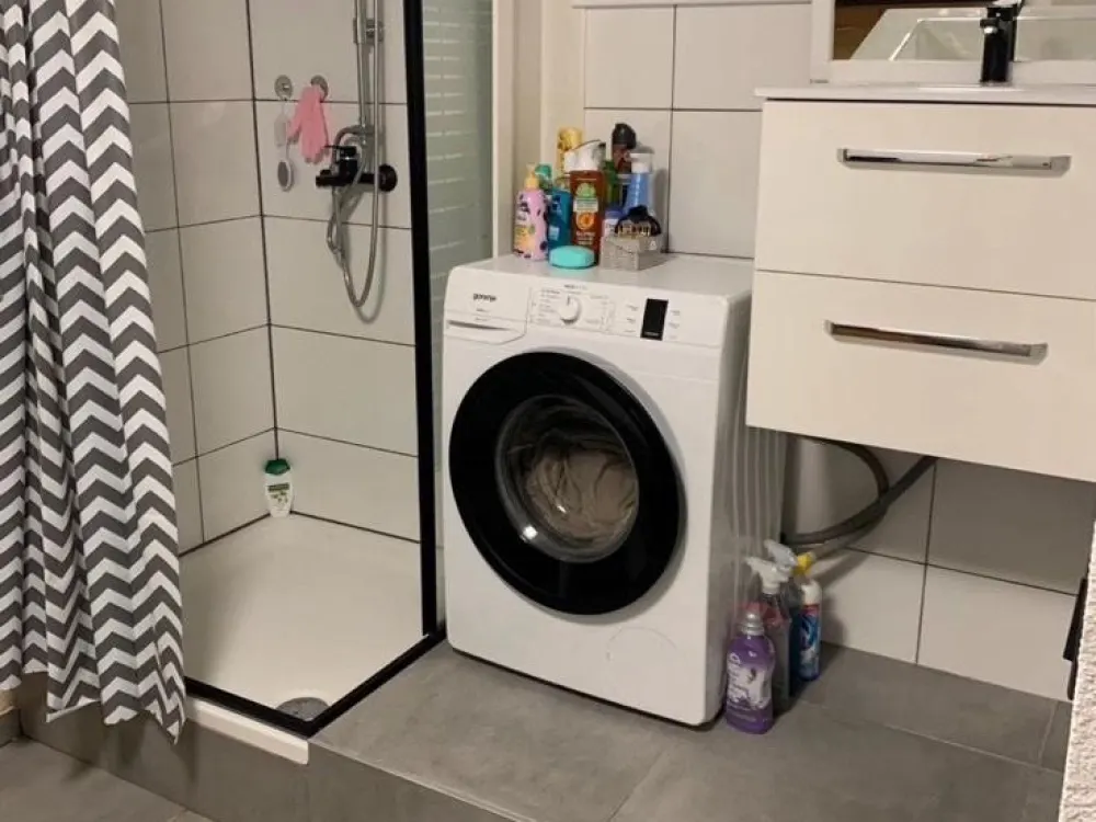 Furnished 1-Room Basement Apartment in Stuttgart-Hedelfingen