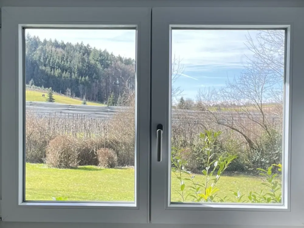 Close to the city and in the green - Renovation 2023 - 2.5-room garden-level apartment in Tettnang