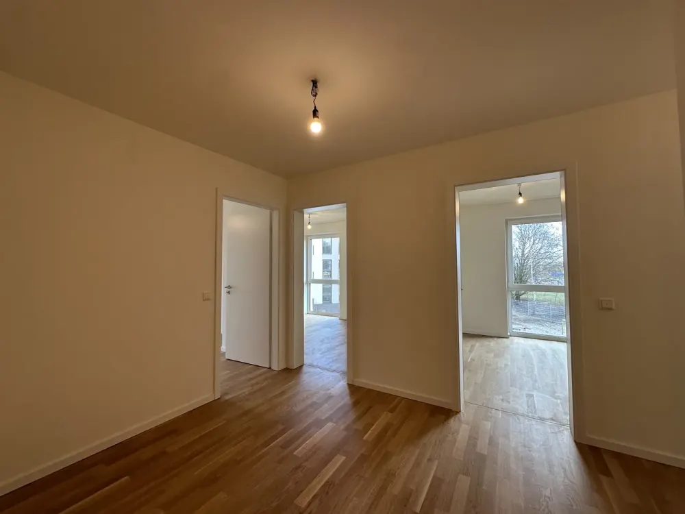 KfW 40 New-Build Apartment with Fitted Kitchen, South Balcony, Real Wood Parquet, Elevator, Underground Parking