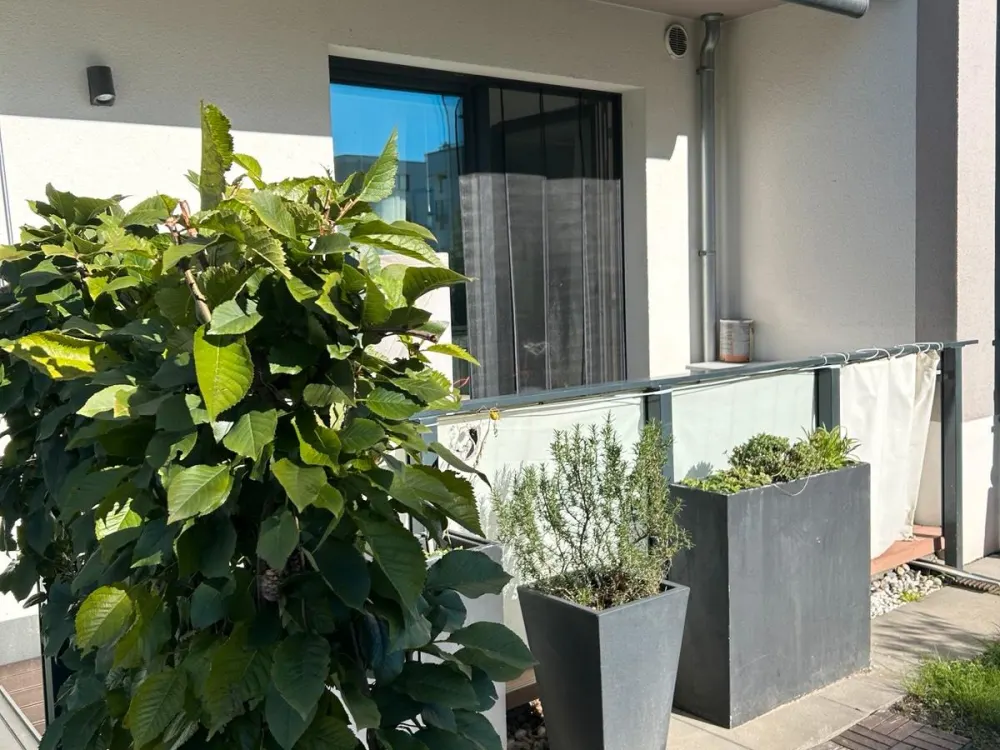 Fully Furnished Apartment in Warnemünde on the Baltic Sea for Rent