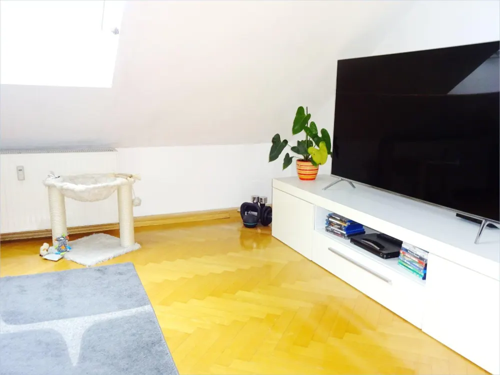 BRIGHT, COZY Top-Floor Apartment with Large Roof Terrace