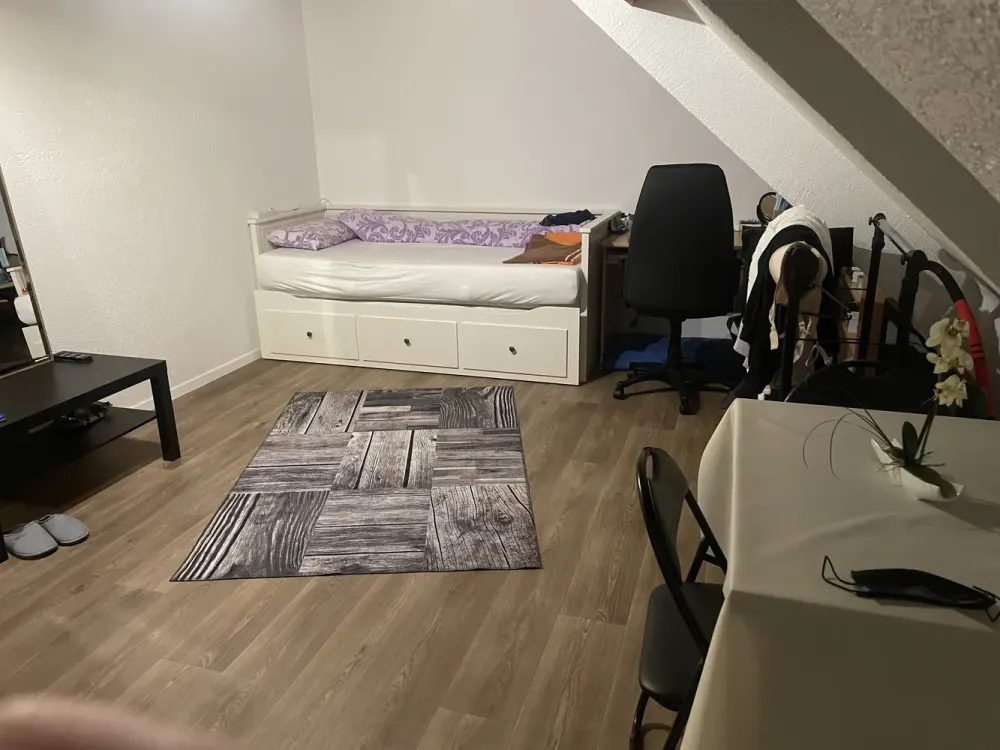 Attic Apartment for Rent (Apt. 6)
