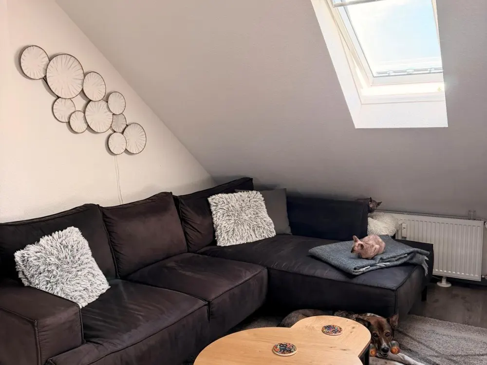 3 Room Apartment