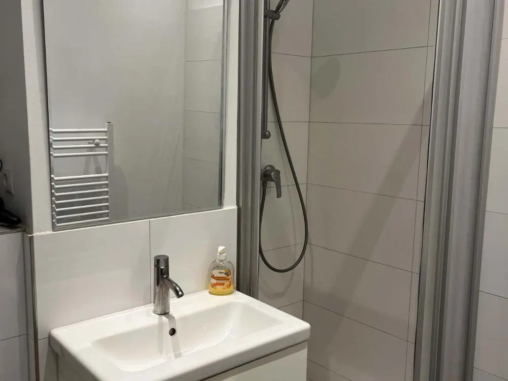 Furnished 1-Room Apartment Berlin-Mitte All Inclusive | from 01.10