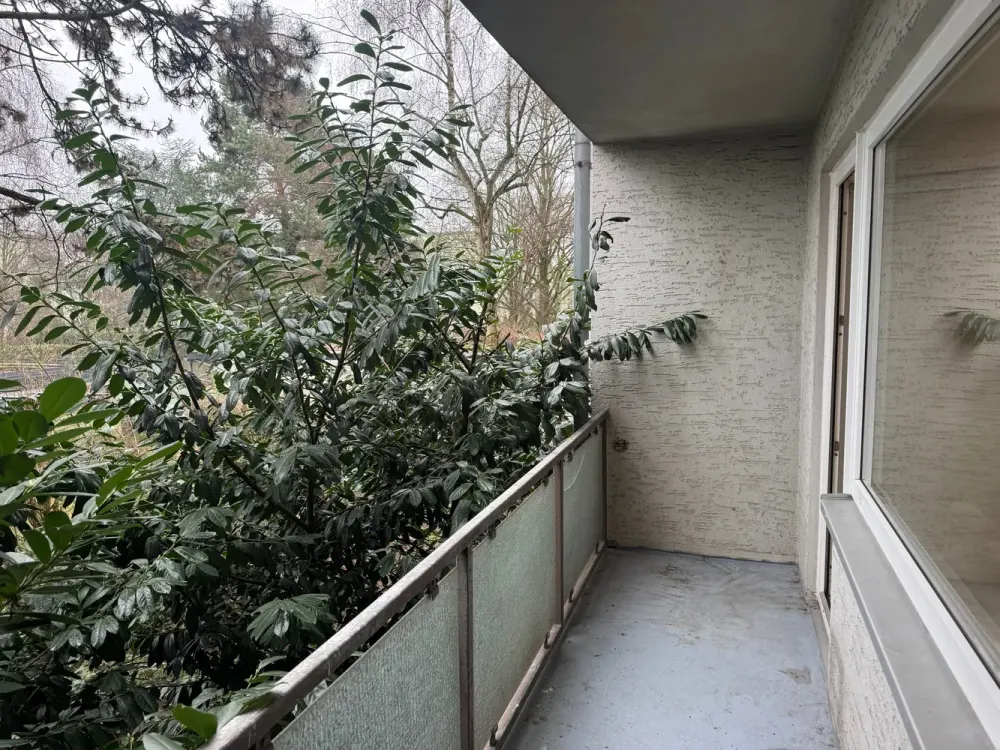 WG-Zimmer in 3er-WG, Köln-Ostheim