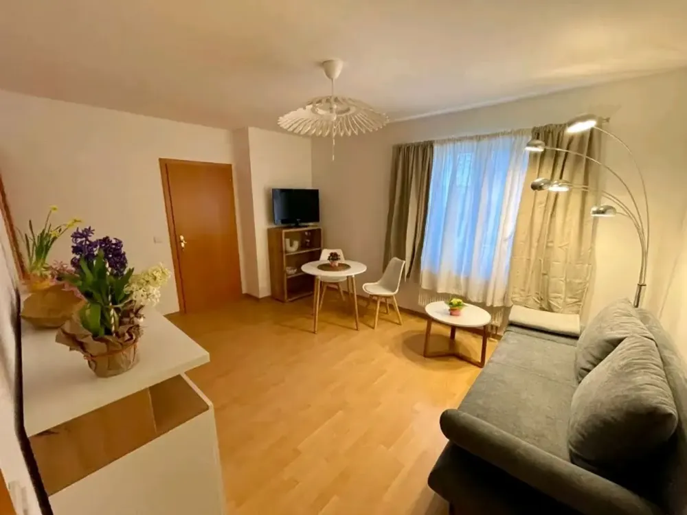 Freshly Renovated and Furnished: 2-Room Ground Floor Apartment with Balcony in Dresden-Großzschachwitz