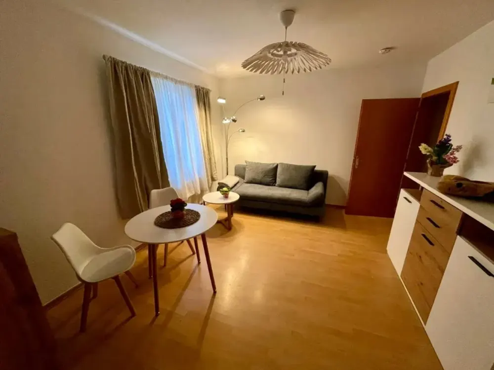 Frisch saniert und möbliert: 2-Zimmer-Erdgeschosswohnung mit Balkon in Dresden-Großzschachwitz