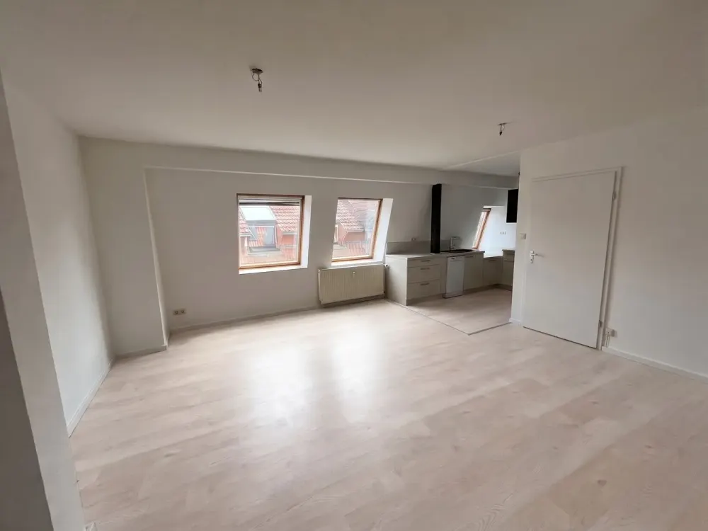 Renovated 3-Room Apartment in Central Old Town Location Erfurt