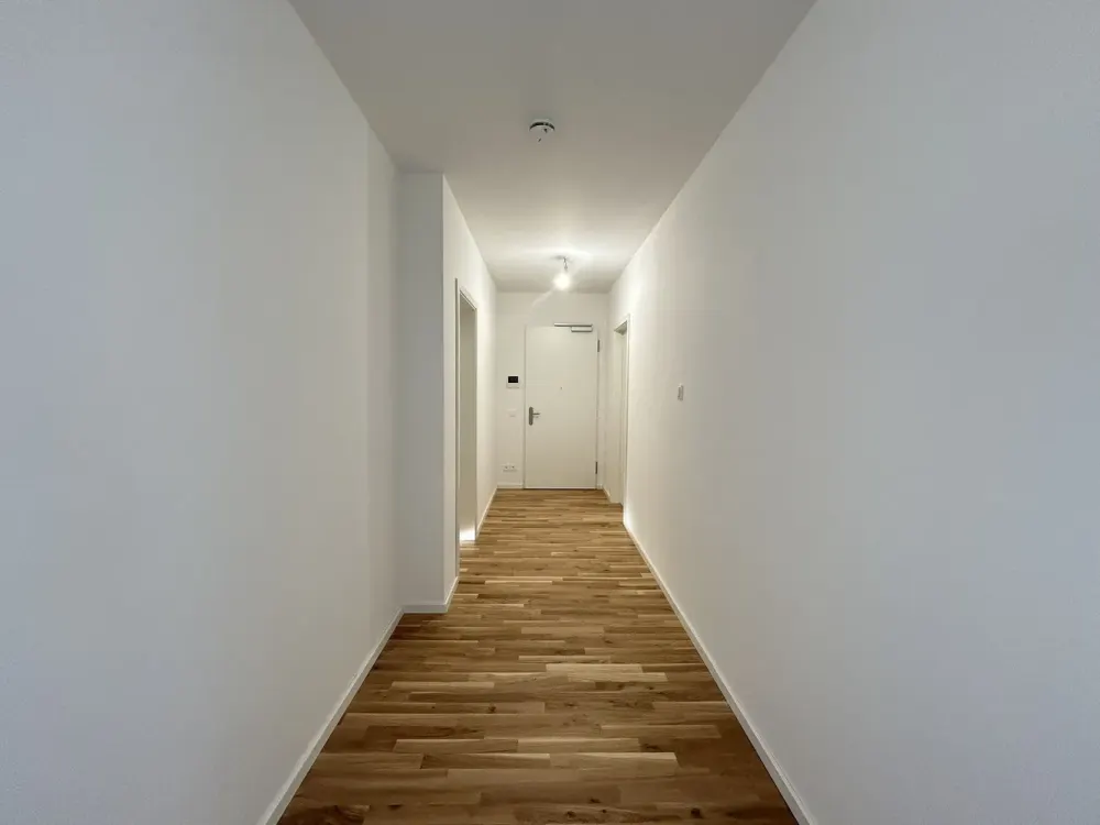 First occupancy 5-room apartment with sunny terrace in Dresden-Friedrichstadt