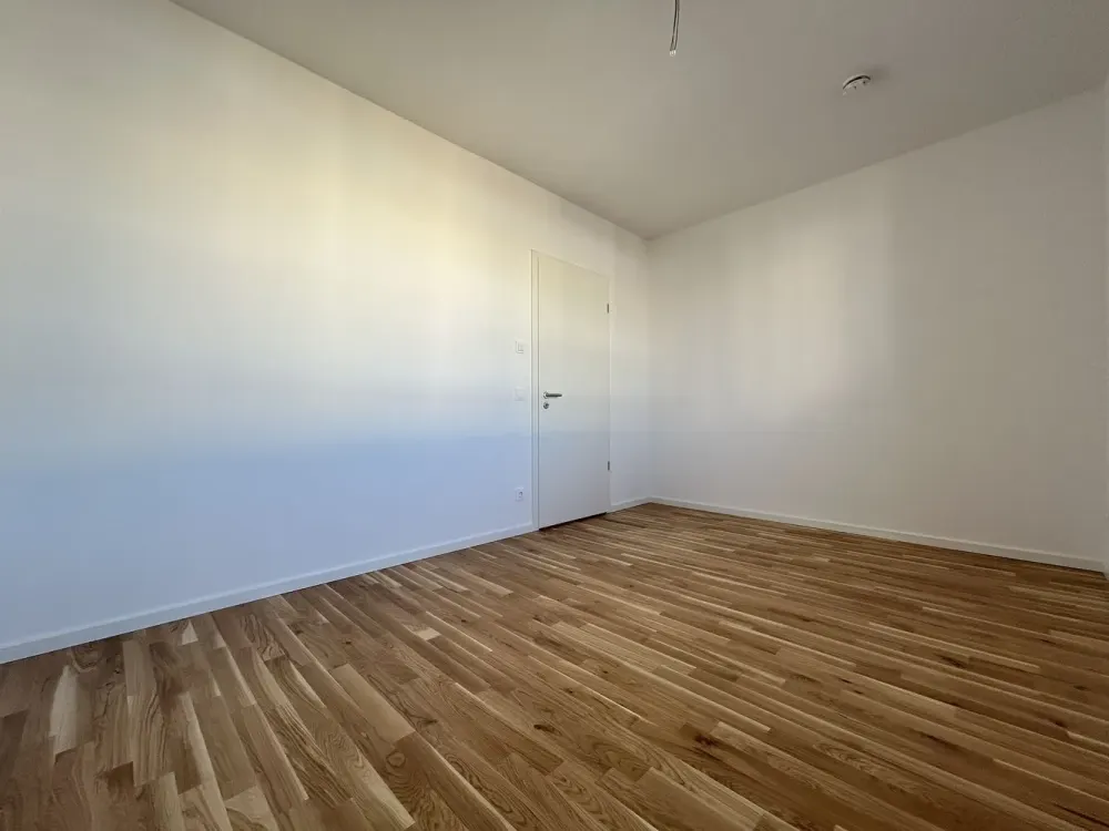 First occupancy 5-room apartment with sunny terrace in Dresden-Friedrichstadt