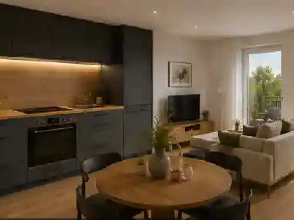 BREISACHER 5, URBAN LOFTS HAIDHAUSEN, Penthouse, First Occupancy, 2 Terraces